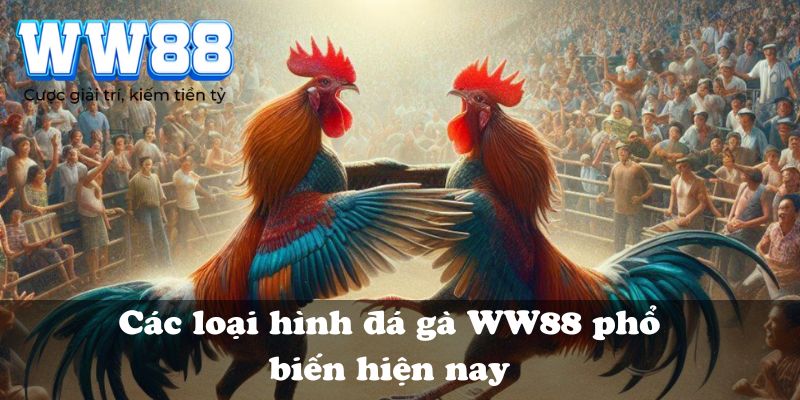 Các loại hình đá gà WW88 phổ biến hiện nay