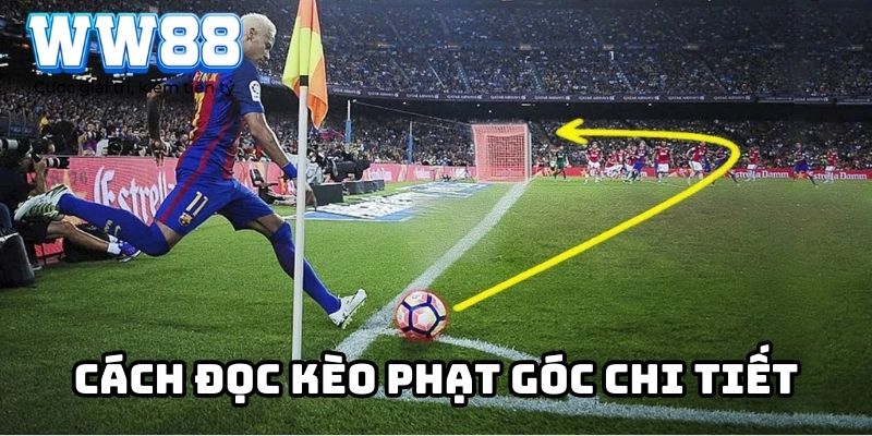 Cách đọc kèo phạt góc chi tiết