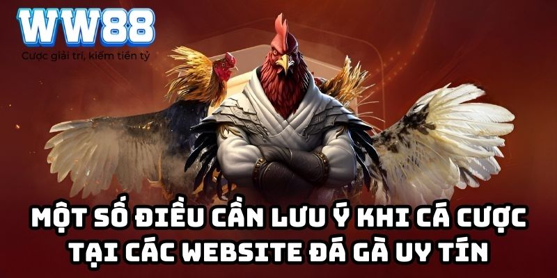 Một số điều cần lưu ý khi cá cược tại các website đá gà uy tín